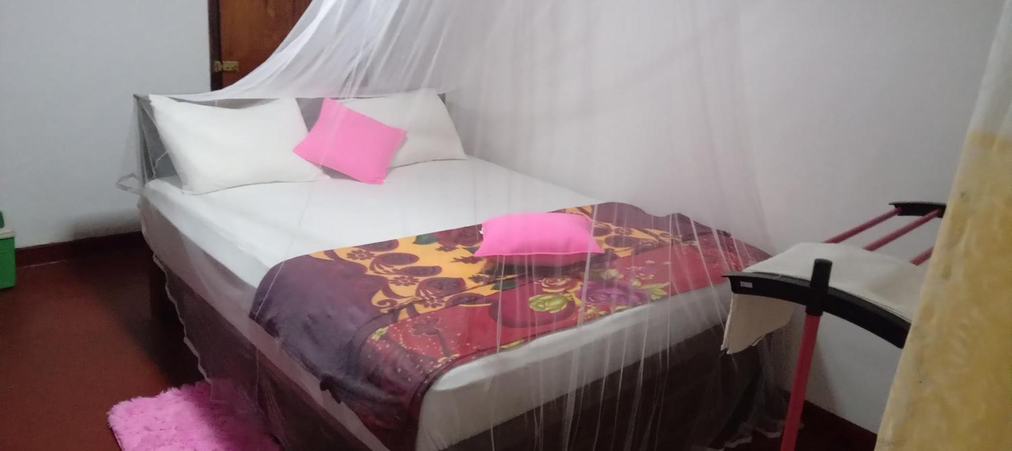 Rainforest Holiday Inn Деніяя Номер фото