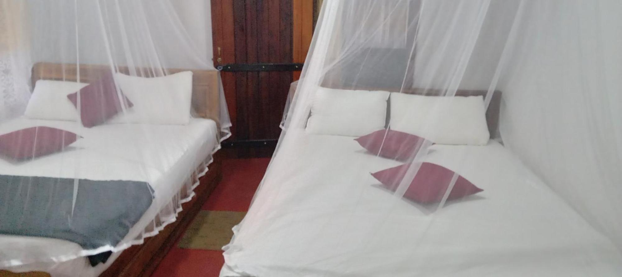 Rainforest Holiday Inn Деніяя Номер фото
