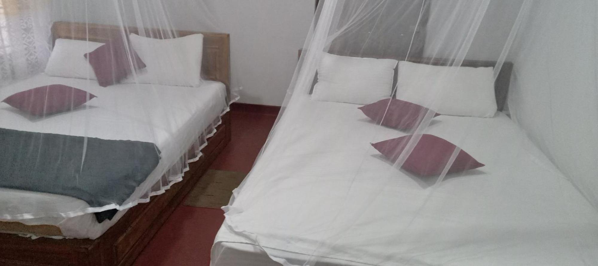 Rainforest Holiday Inn Деніяя Номер фото